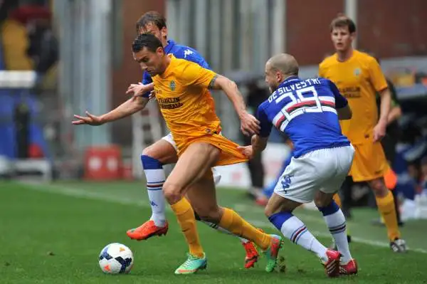 Sampdoria-Verona 5-0 - 29ª giornata Serie A 2013/2014