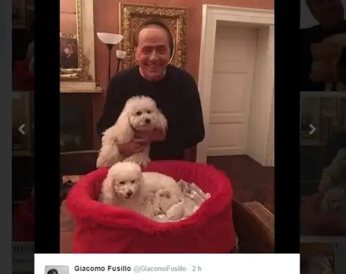 Berlusconi, la famiglia si allarga