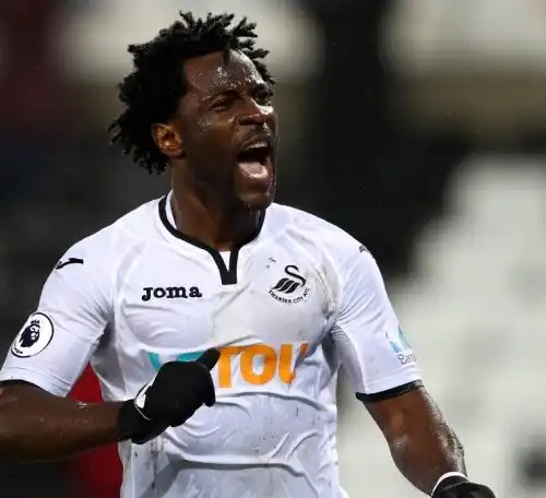 Verona, nel mirino Wilfried Bony