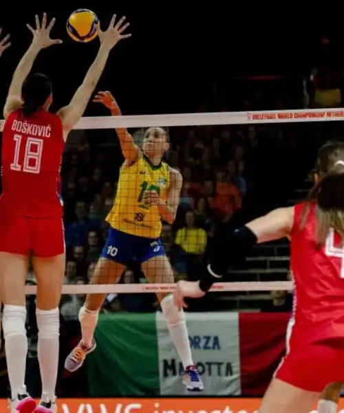 Serbia campione, Tijana Boskovic MVP e miglior opposto