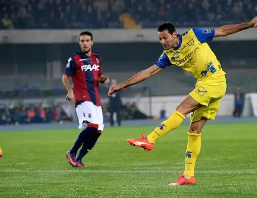 Chievo-Bologna 1-1