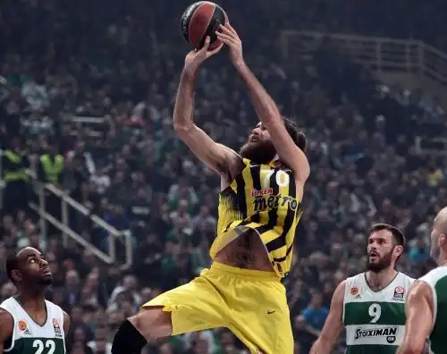 Eurolega: finale Olympiacos-Fenerbahce