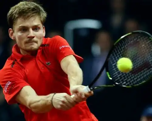 Goffin trema e vince, Murray domina