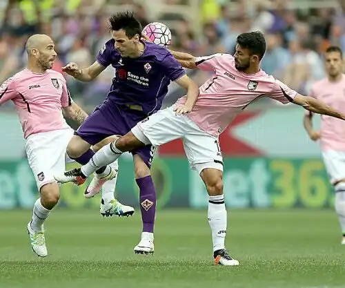 Fiorentina-Palermo 0-0