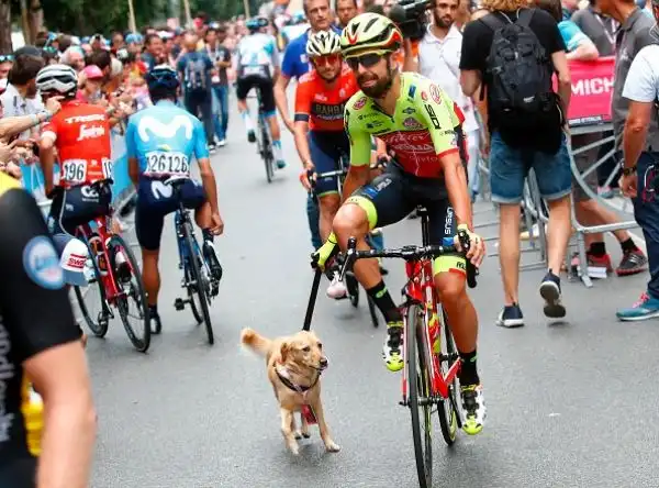 Nell'ultima tappa di Roma sono stati neutralizzati 7 dei 10 previsti per una richiesta dei corridori a causa del manto stradale ritenuto pericoloso. Froome ha festeggiato il suo primo Giro d'Italia.