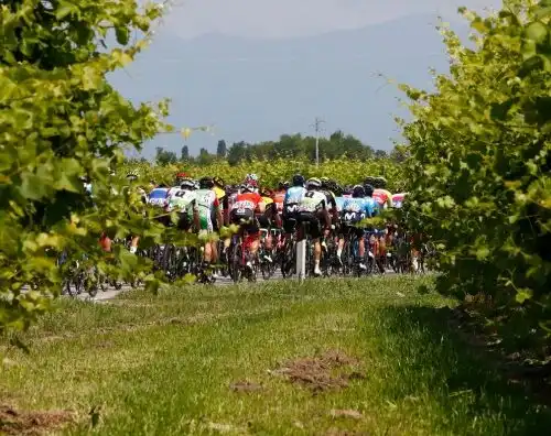 Giro, si ferma Alessandro Tonelli