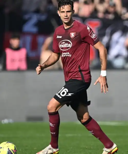 Salernitana, decisione drastica su futuro di Radovanovic