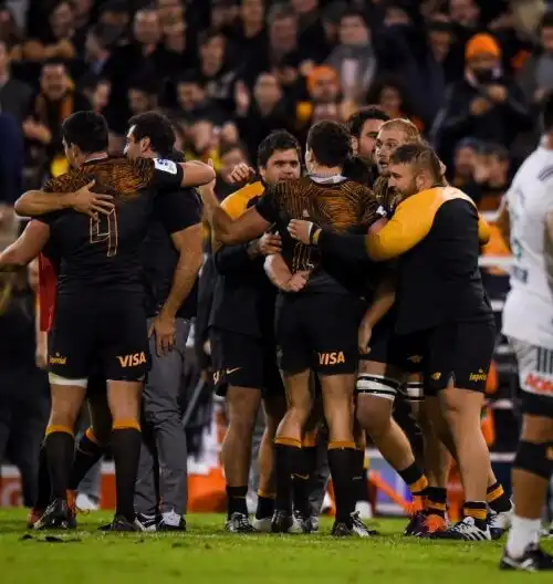 Super Rugby, Jaguares nella storia