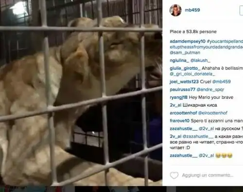 Balotelli fa infuriare gli animalisti