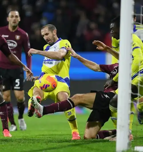 Iervolino infiamma i tifosi della Salernitana: l’annuncio