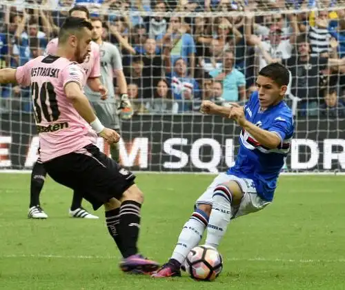 Sampdoria-Palermo 1-1