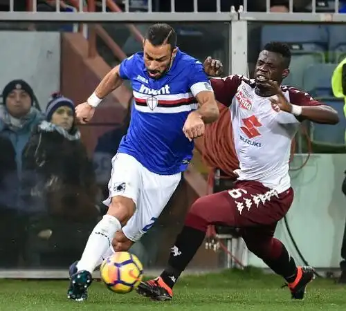 Sampdoria-Torino 1-1