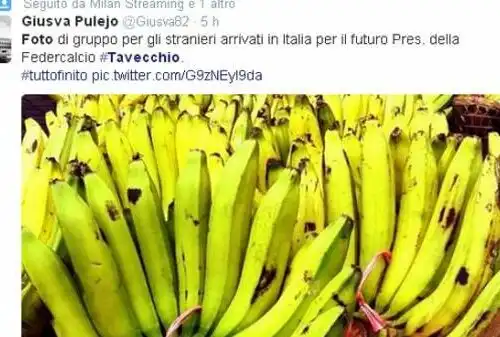 Clamorosa gaffe su Tavecchio