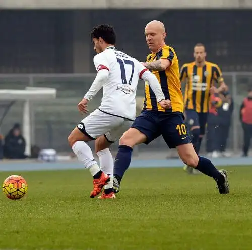 Verona-Genoa 1-1