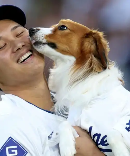 Shohei Ohtani commuove tutti con il suo cane, poi è spietato in campo: foto