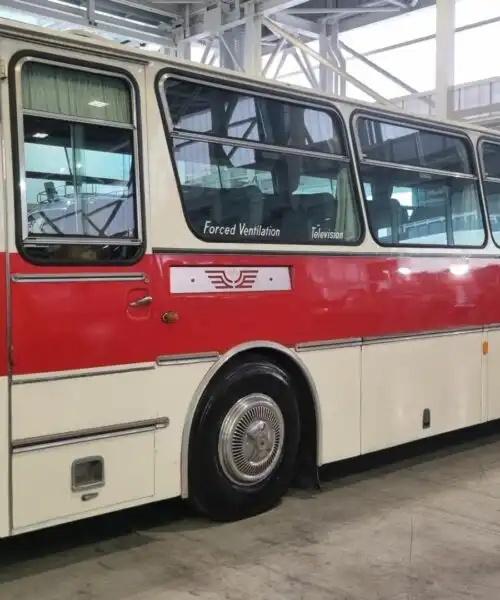 Fiat 343 in versione Orlandi: le foto di un autobus che ha dominato le strade