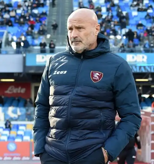 Serie B 2024-2025: Frosinone-Salernitana, le probabili formazioni