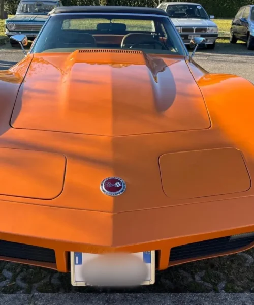 Ha 50 anni questa magnifica Chevrolet Corvette Stingray: le foto