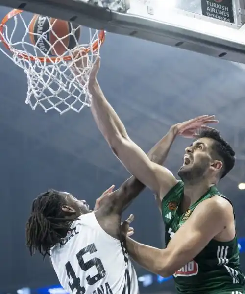 La Virtus Bologna cade sotto i colpi del Panathinaikos, l’amarezza di Dusko Ivanovic