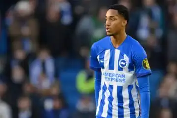 Premier League 2024-2025: Brighton-Bournemouth, le probabili formazioni