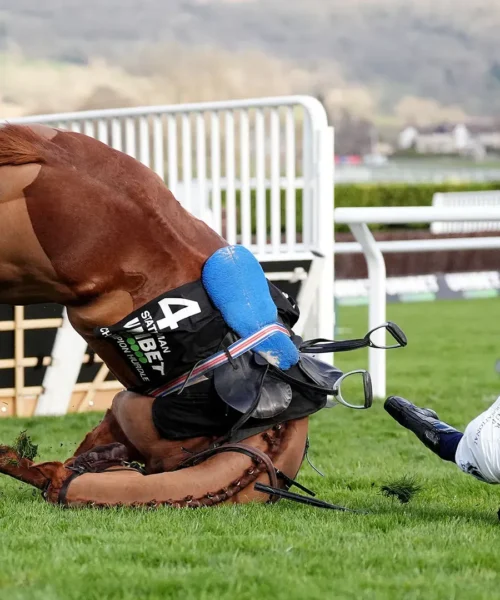 Grande paura per cavallo e fantino dopo la brutta caduta: le foto